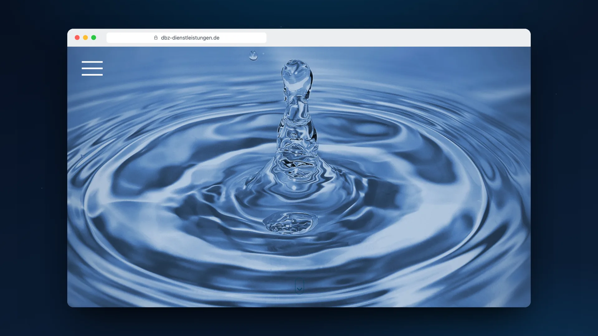 Webdesign Referenz D.B.Z. Dienstleistungen